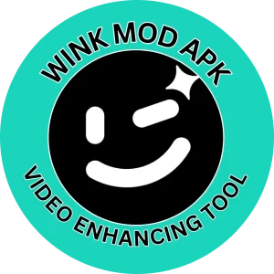 WINK Video Enhancing Tool