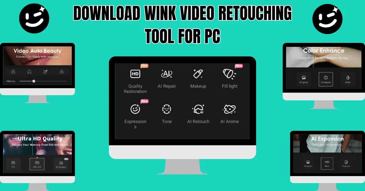 wink video retouching tool for pc